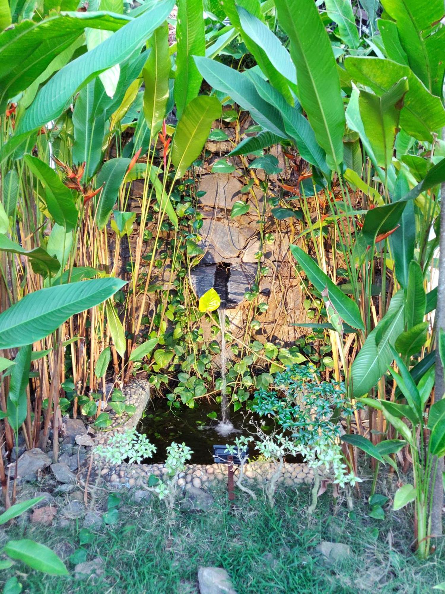 Rock Forest Goa Honeymoon Cottages Calangute Extérieur photo