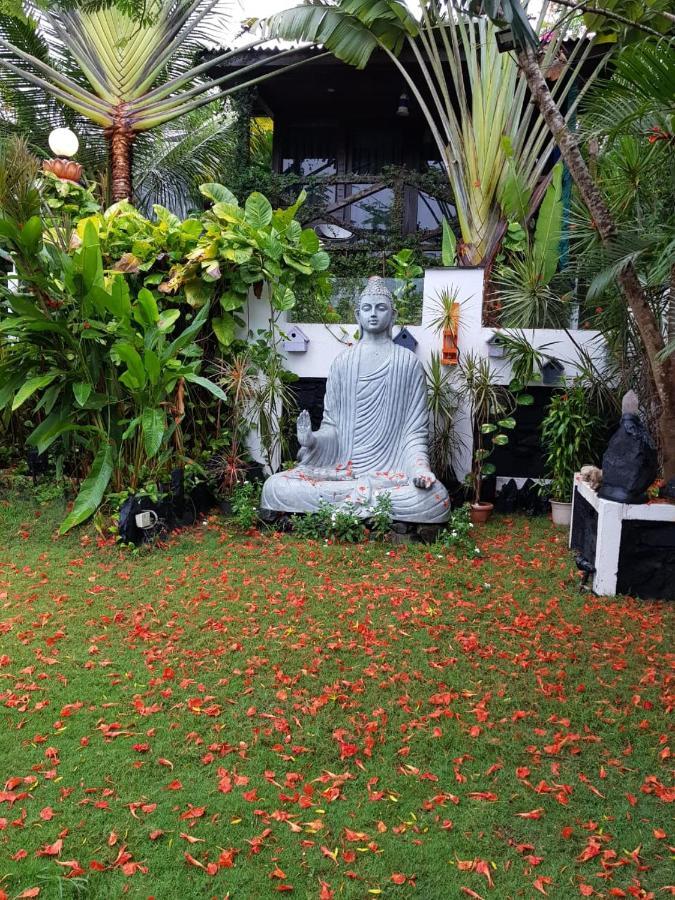 Rock Forest Goa Honeymoon Cottages Calangute Extérieur photo